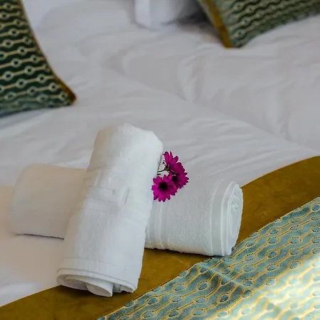 Hotel Star 3*